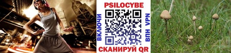 Купить где  Туран  Псилоцибиновые грибы MAGIC MUSHROOMS 