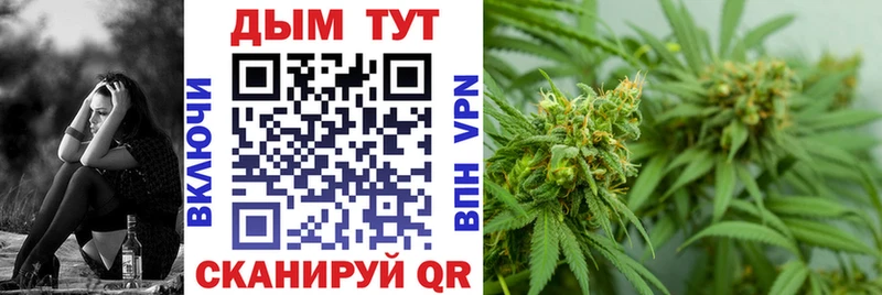 Купить закладки  Туран  Шишки марихуана план 